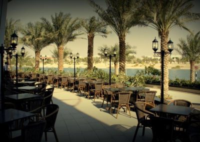 Outside Restaurant Patio with Palm Trees